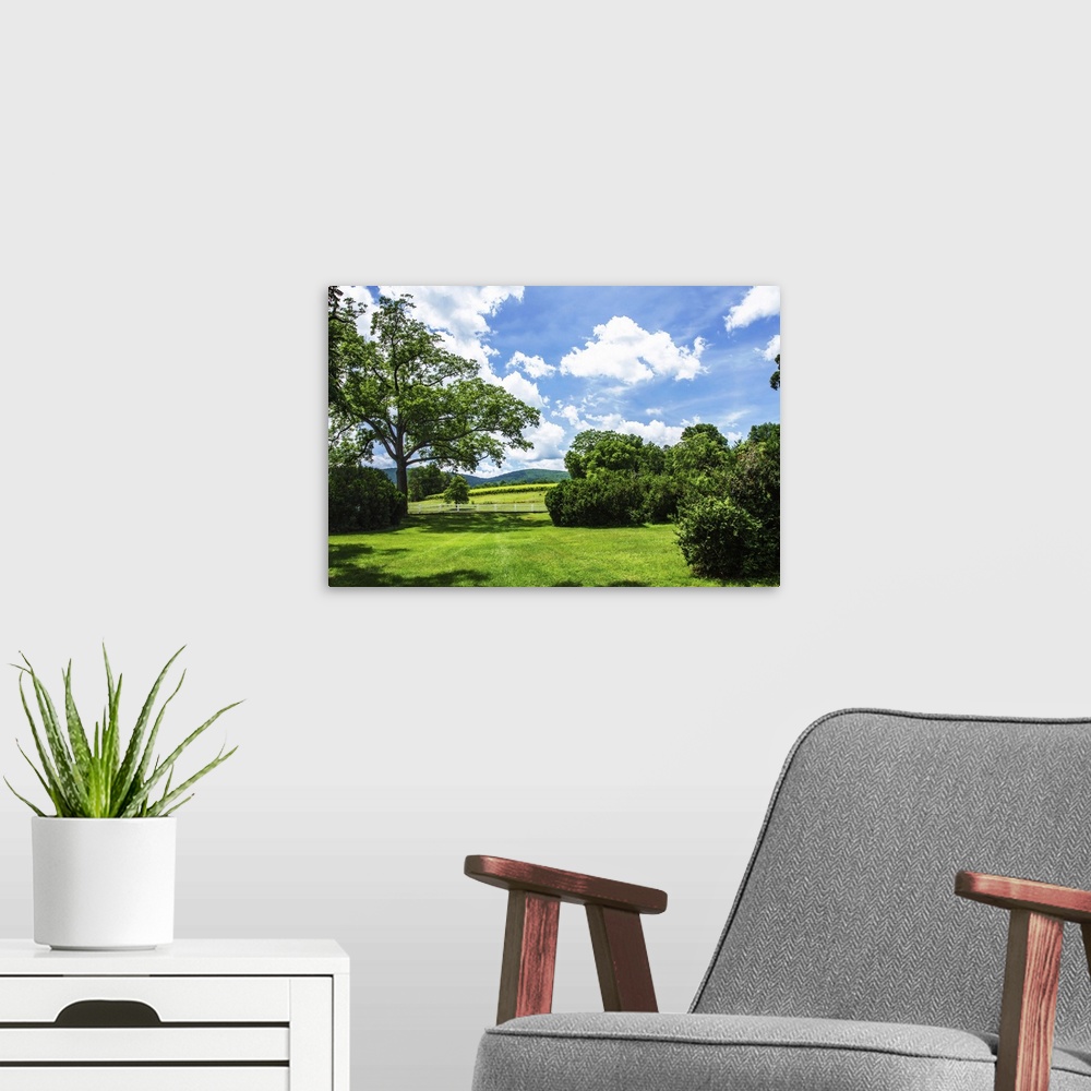 A modern room featuring Landscape photograph of the hilly countryside in Barboursville, VA.