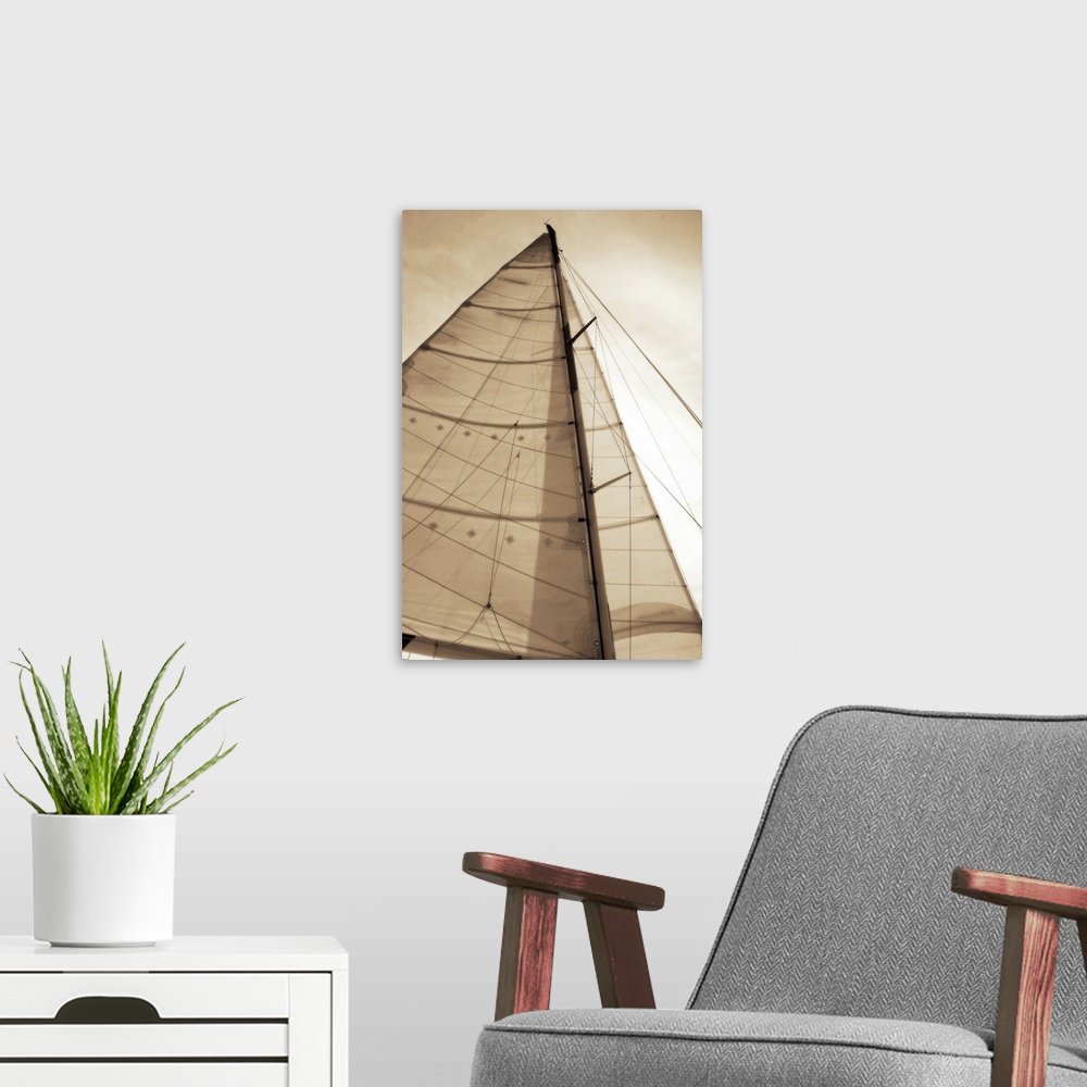 A modern room featuring Beaufort Sails 1