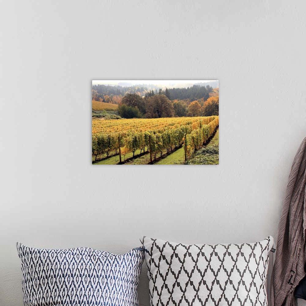 A bohemian room featuring Large canvas print of a vineyard with a fall foliage covered forest in the background.