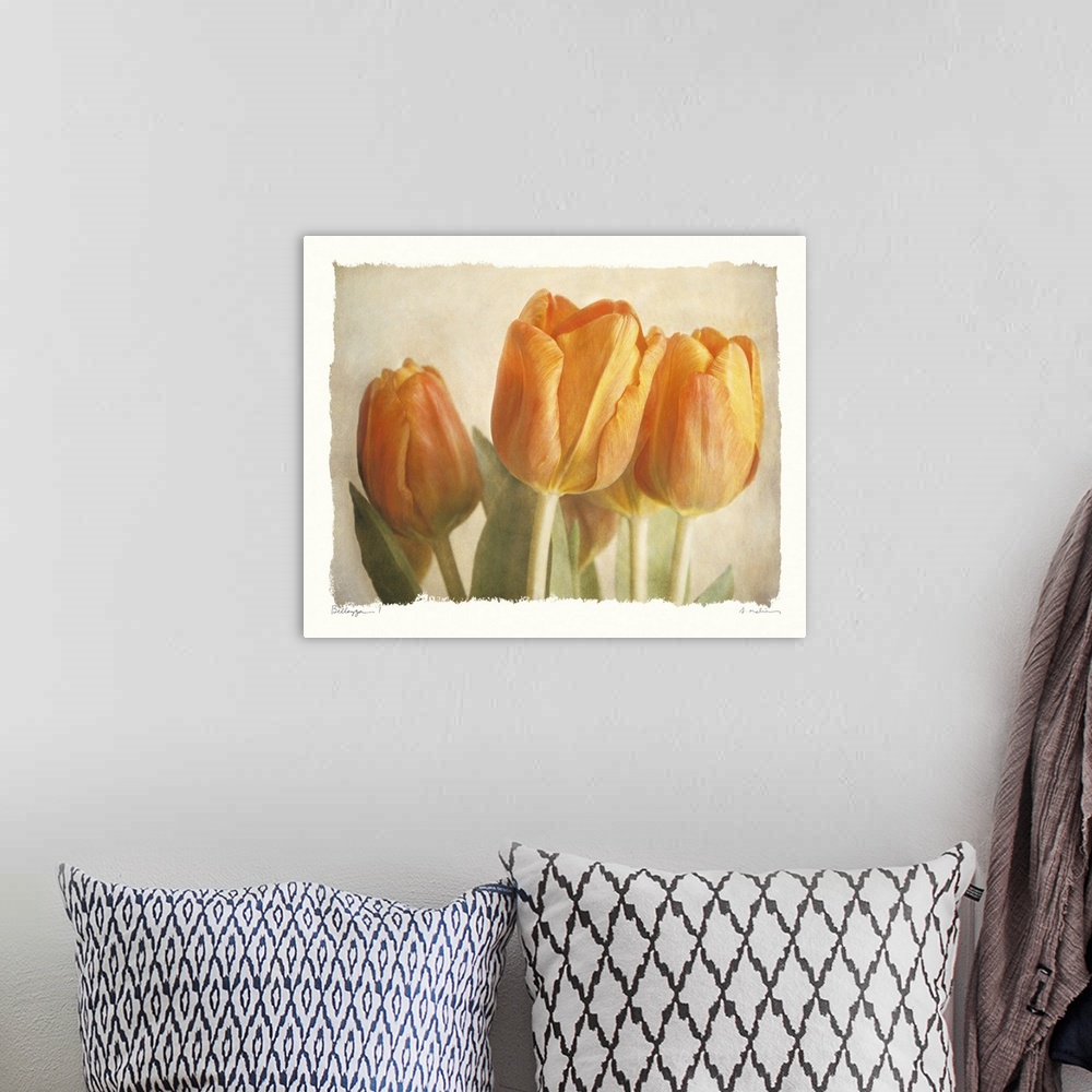 A bohemian room featuring Horizontal, big home art docor of three closed tulips and their leaves on a soft neutral backgrou...