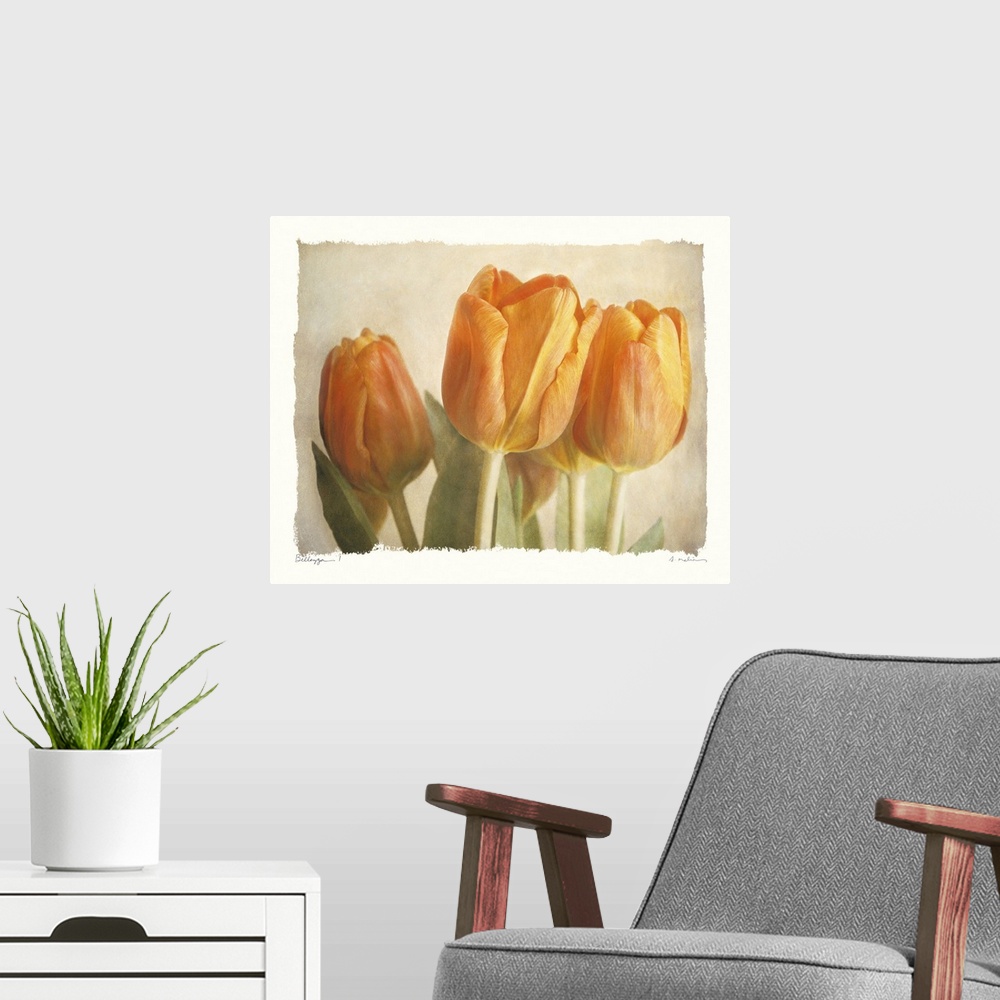 A modern room featuring Horizontal, big home art docor of three closed tulips and their leaves on a soft neutral backgrou...