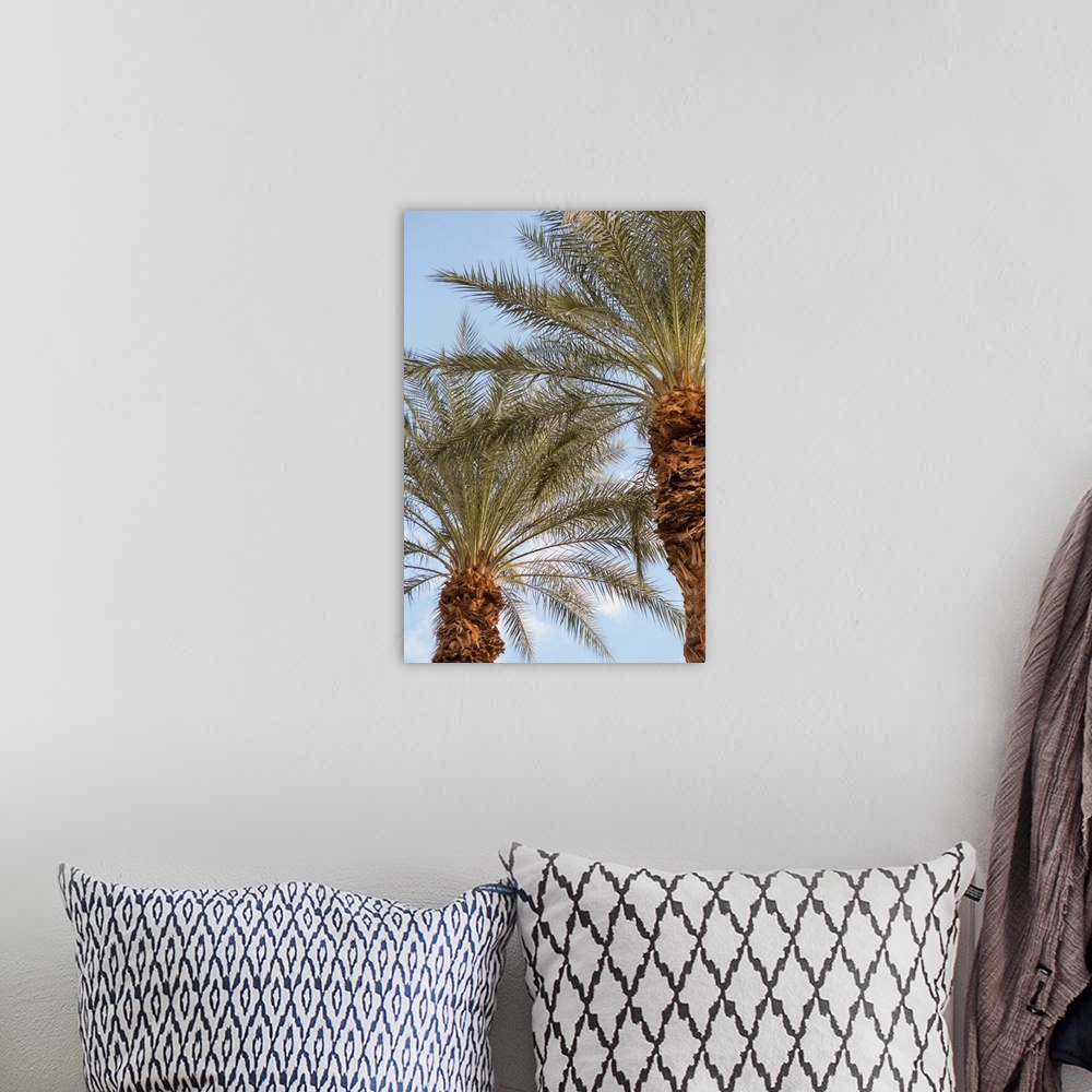 A bohemian room featuring Photograph looking up at the tops of two palm trees with a light blue sky in the background.