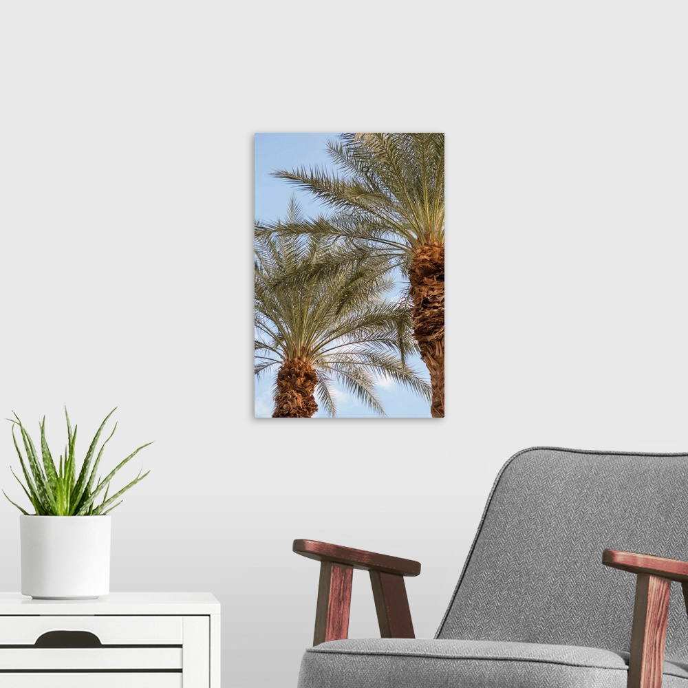 A modern room featuring Photograph looking up at the tops of two palm trees with a light blue sky in the background.