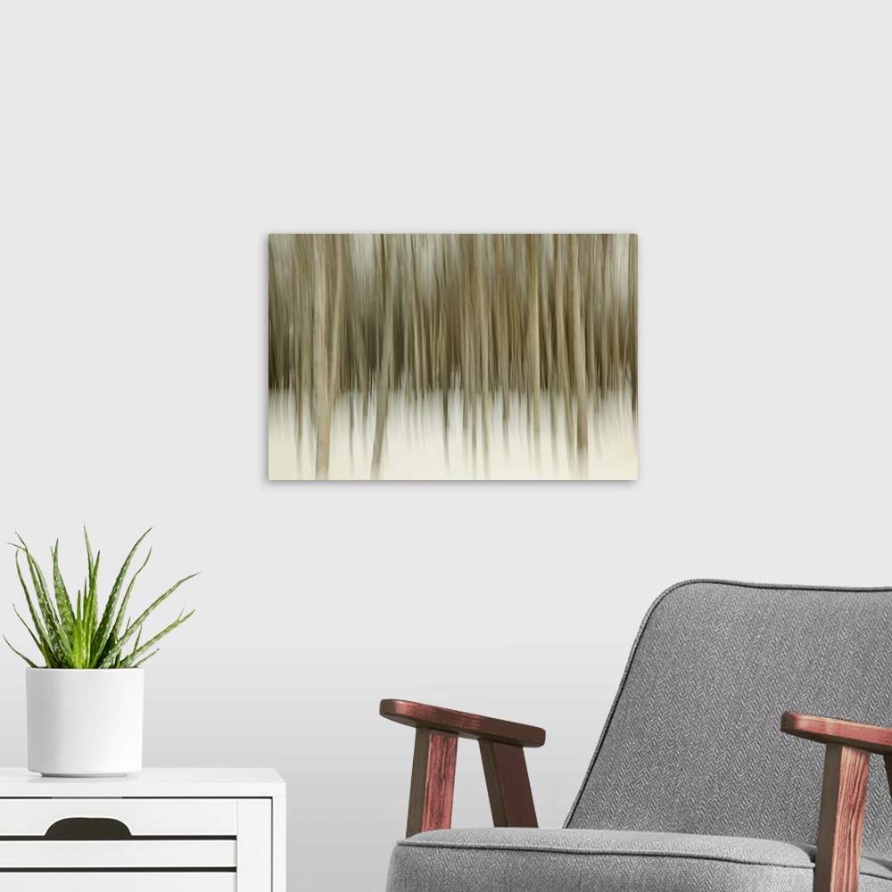 A modern room featuring Birch Blur II
