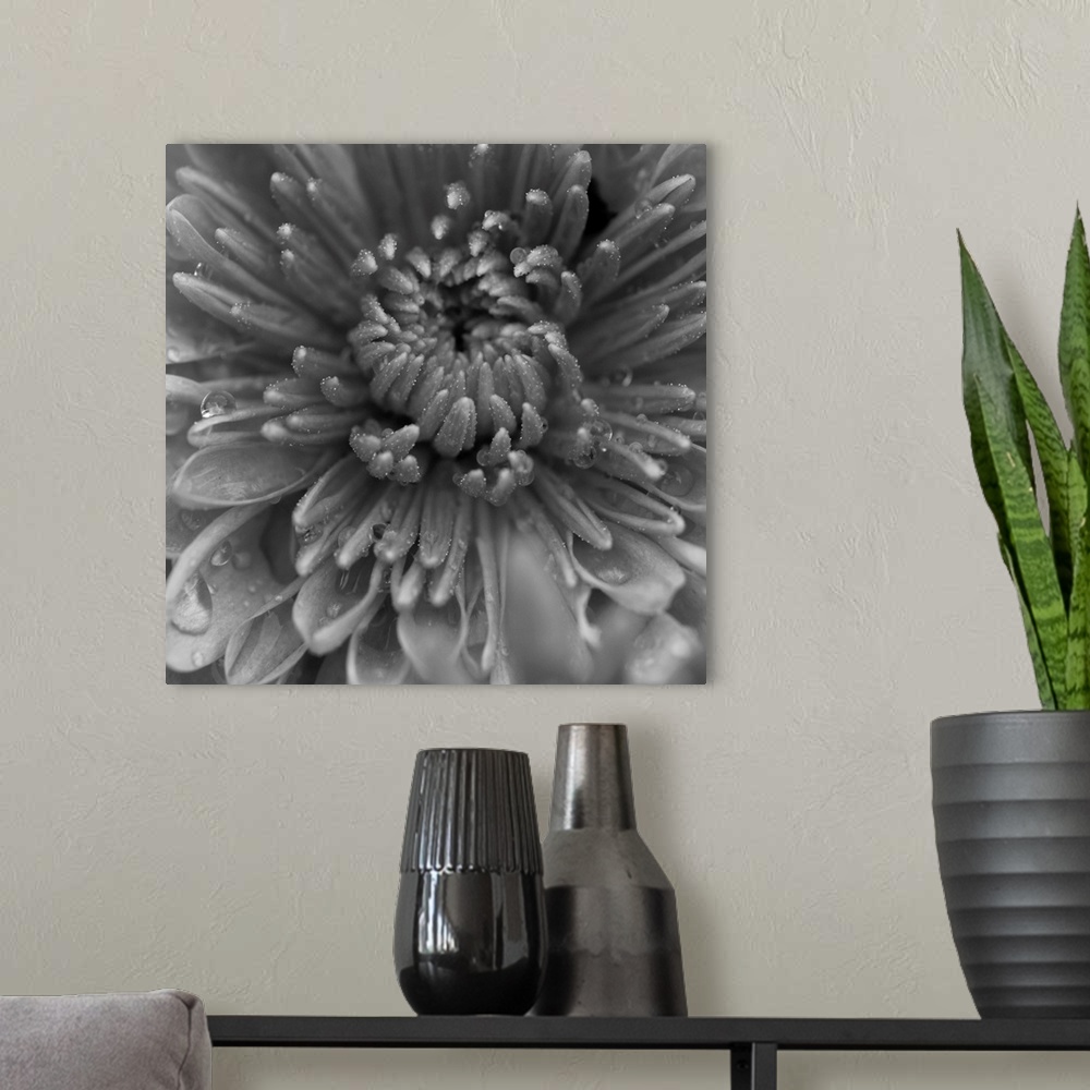 A modern room featuring Black and White Mum Square I