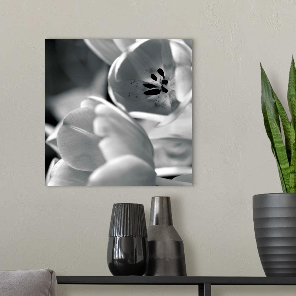 A modern room featuring Black and White Tulips I