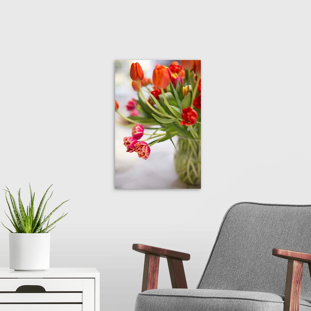 A modern room featuring Blooming Tulips