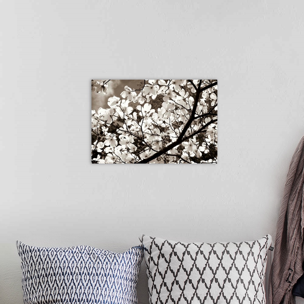 A bohemian room featuring Blossoms II