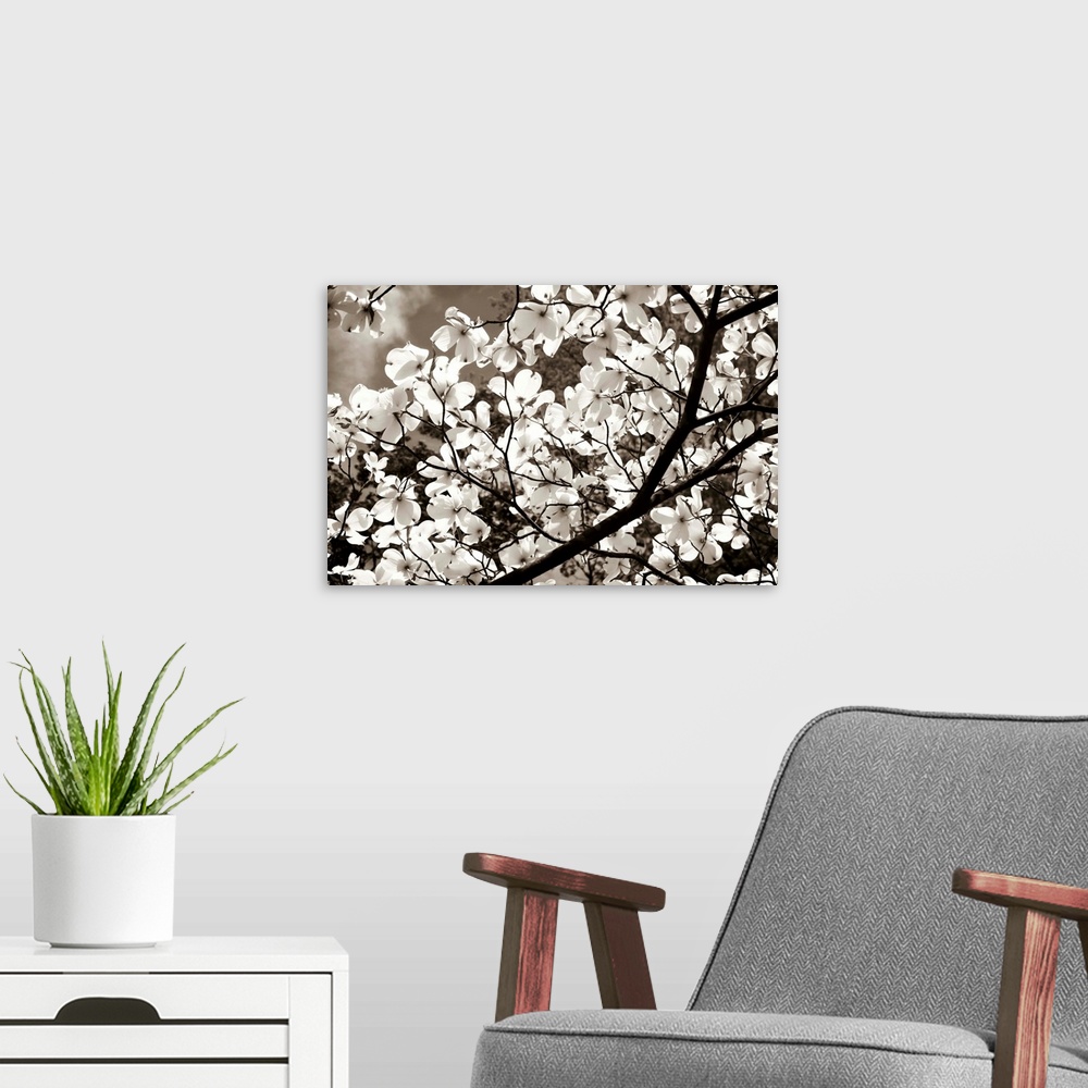 A modern room featuring Blossoms II