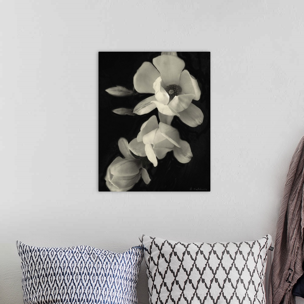 A bohemian room featuring Botanical Elegance Magnolia