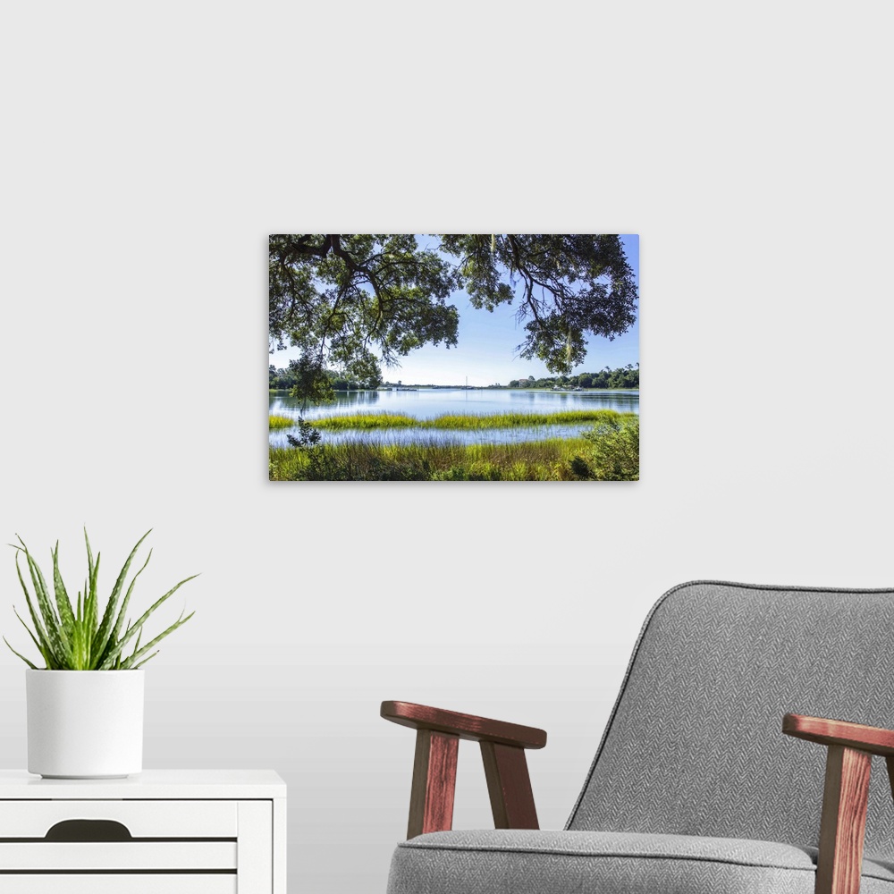 A modern room featuring Oak tree growing along the edge of a marsh on a warm day.