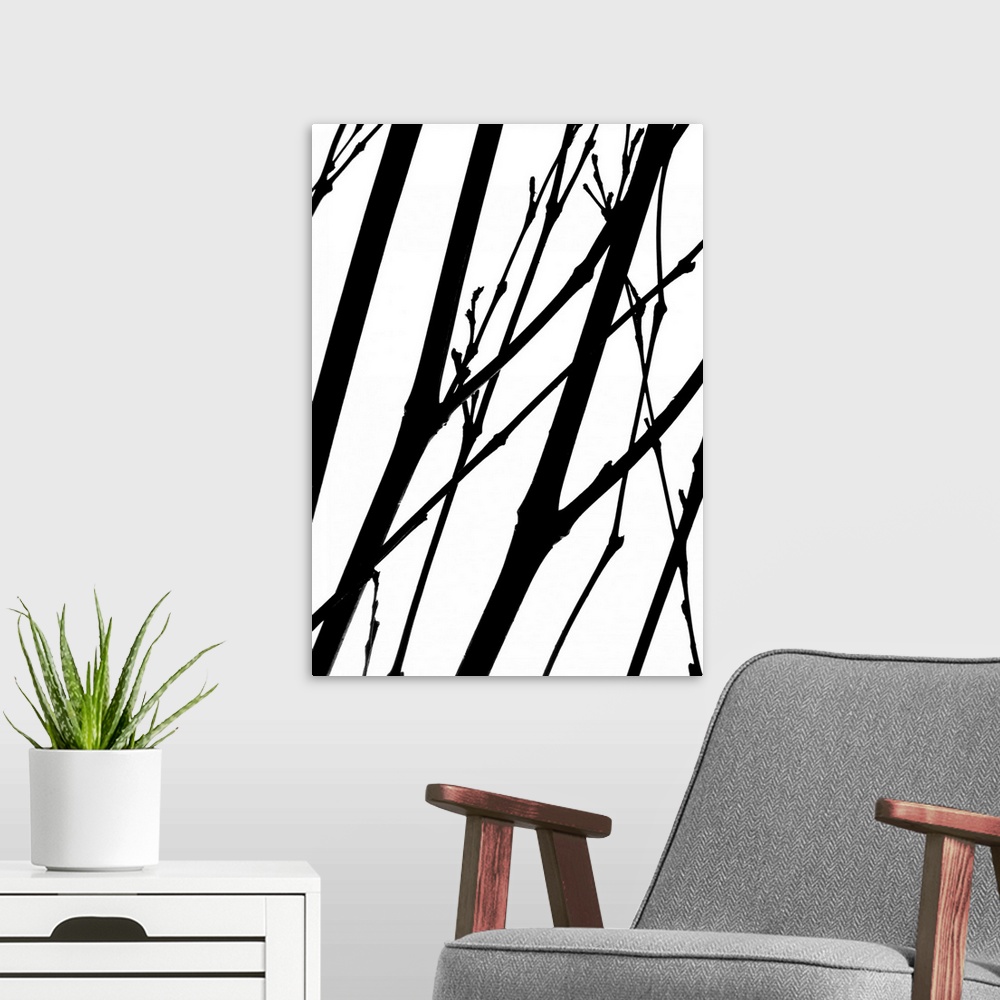 A modern room featuring Silhouettes of several thin branches on a white background.