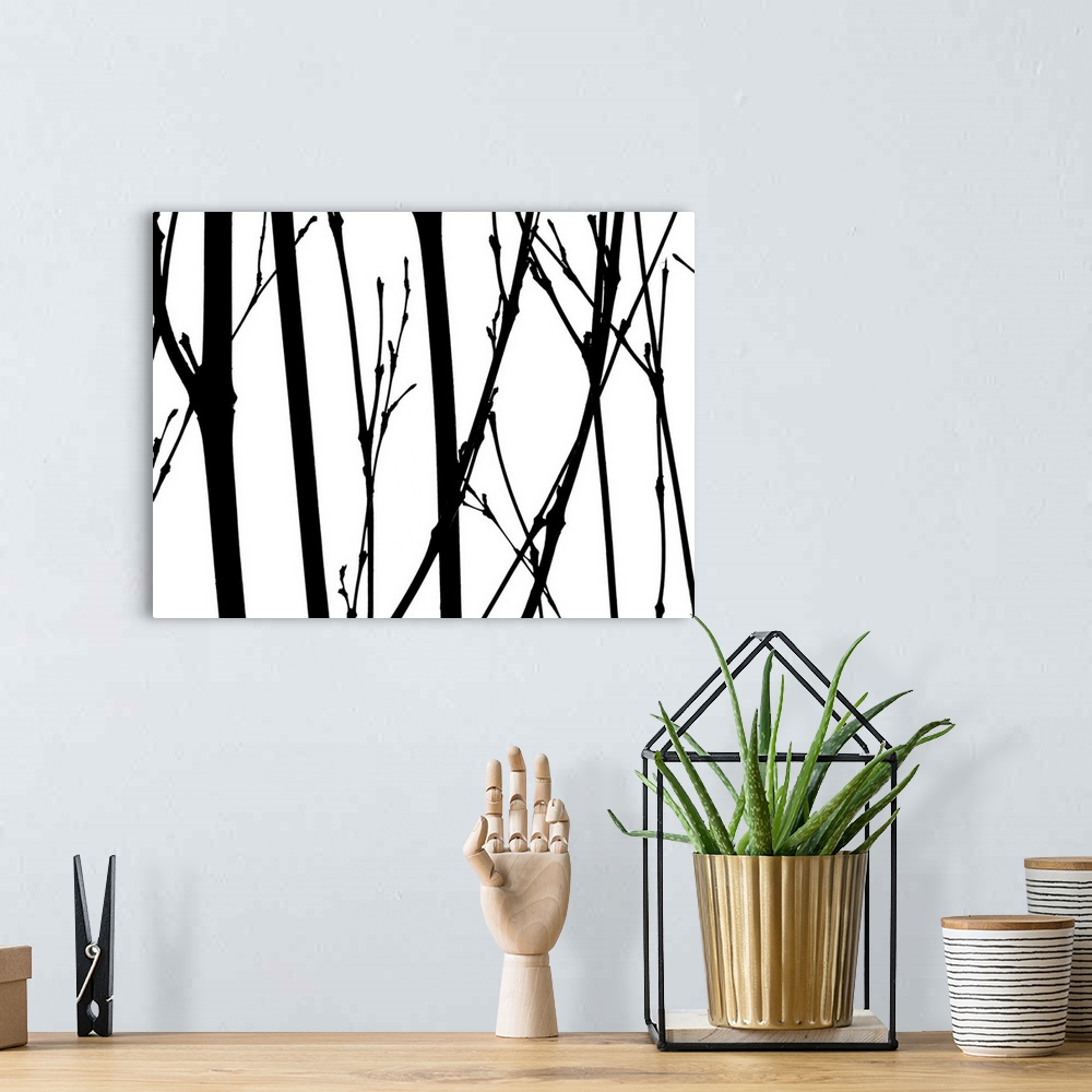 A bohemian room featuring Silhouettes of several thin branches on a white background.