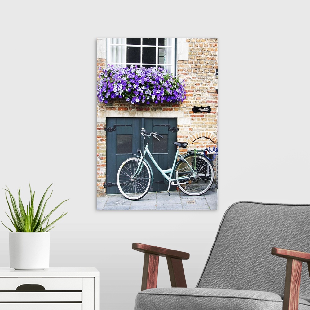 A modern room featuring A bicycle parked near a small door with a flowerbox full of purple flowers overhead.