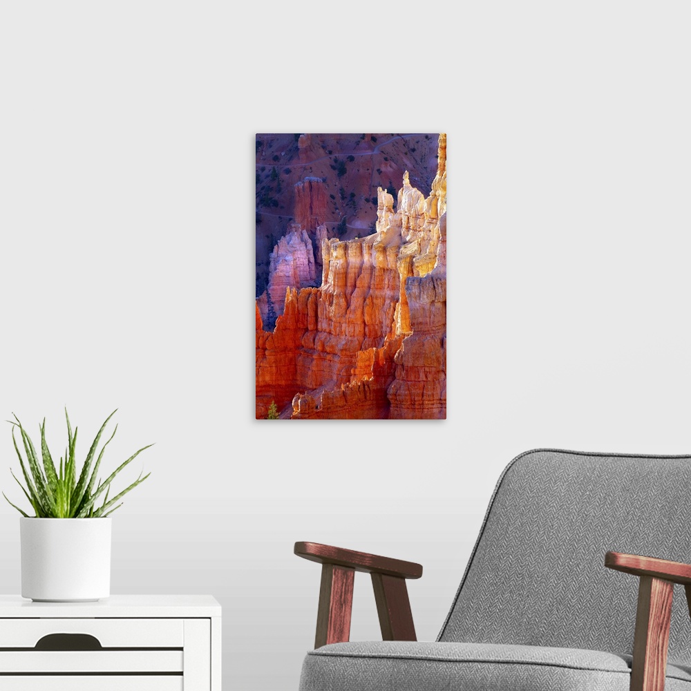 A modern room featuring Bryce Canyon Dawn