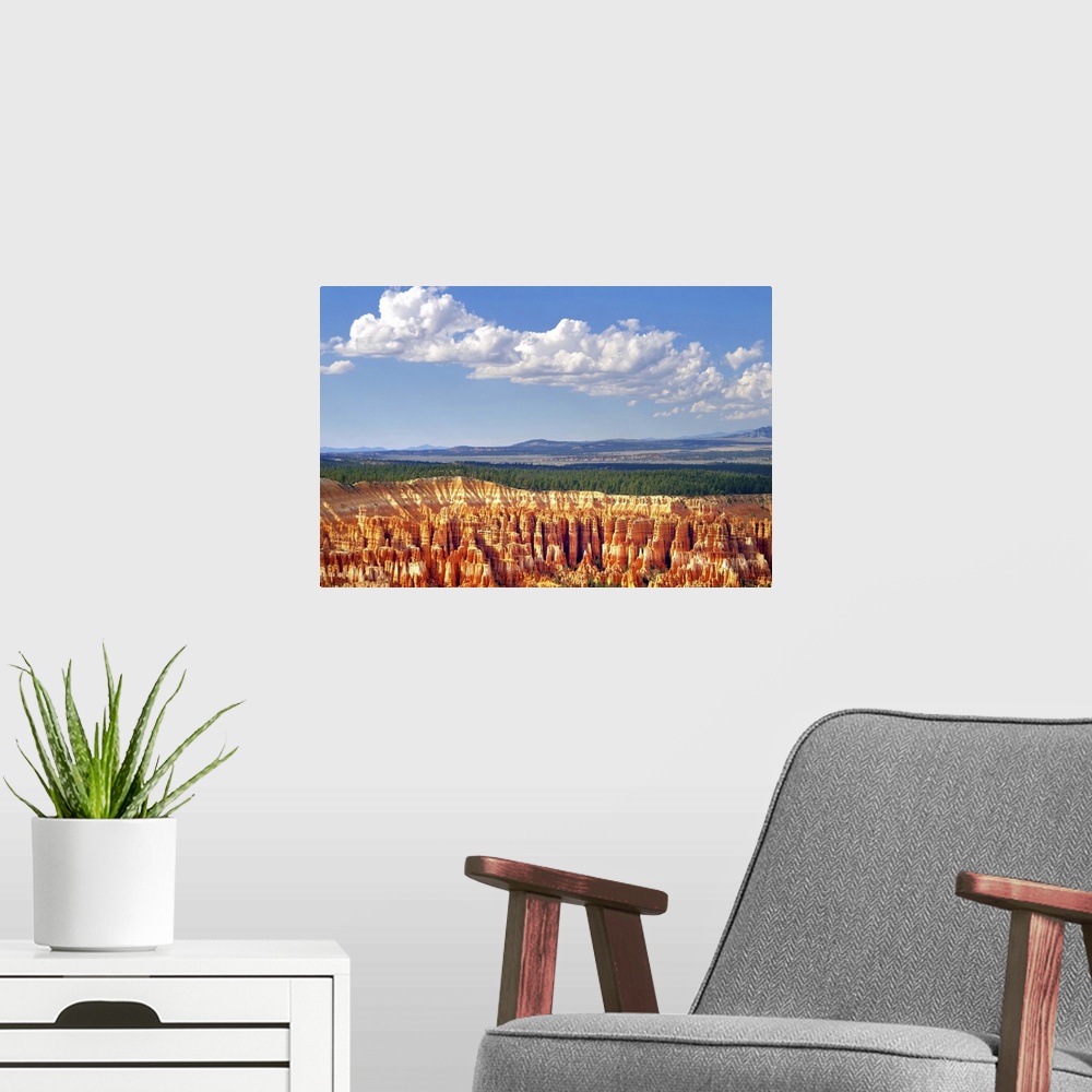 A modern room featuring Bryce Canyon I
