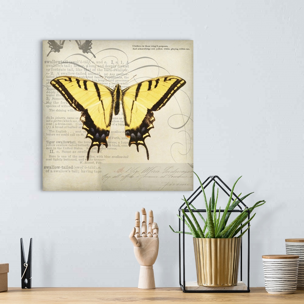 A bohemian room featuring Butterflies Script V - mini