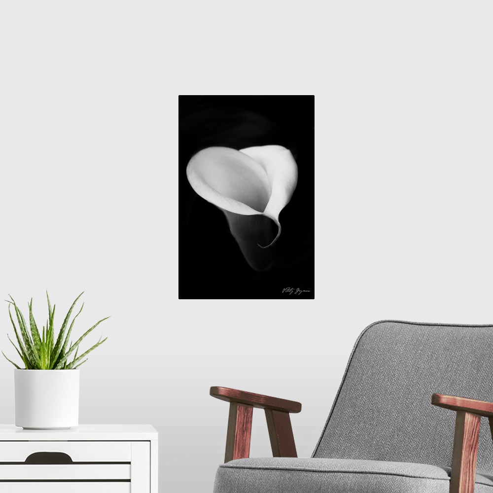 A modern room featuring Vertical photo of a flower petal on a dark canvas.