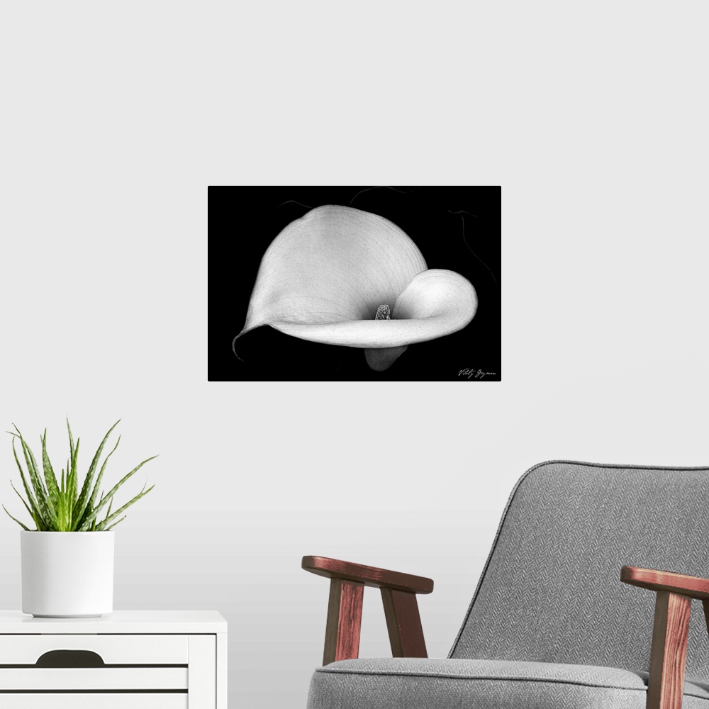 A modern room featuring A closely taken photograph of a calla lily flower that is taken in black and white.
