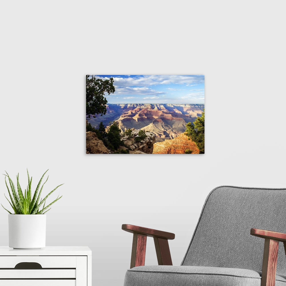 A modern room featuring Landscape photograph of the canyons at Grand Canyon National Park.