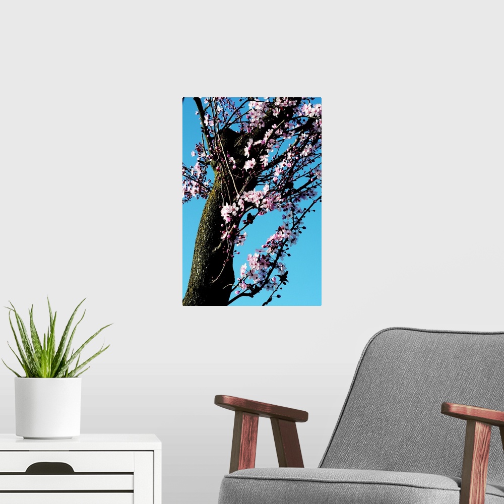 A modern room featuring Cherry Blossom III