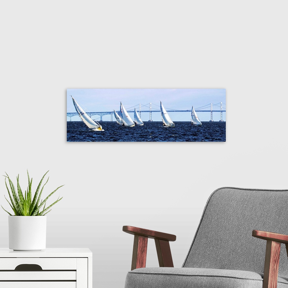 A modern room featuring A group of sailboats on the water in front of a long bridge.
