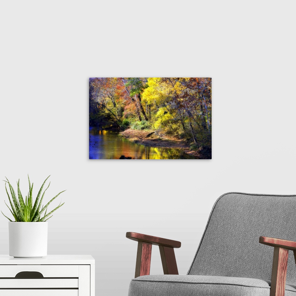 A modern room featuring Colorful trees in autumn colors on the edge of a stream in a forest.