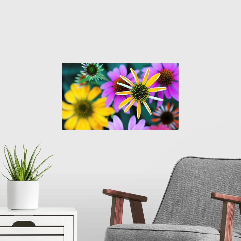 A modern room featuring Colorful Bouquet III