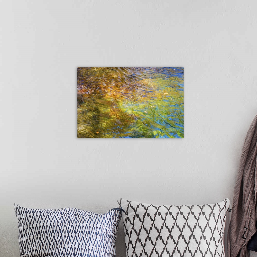 A bohemian room featuring Reflections of a colorful forest in rippling water, creating an abstract image.