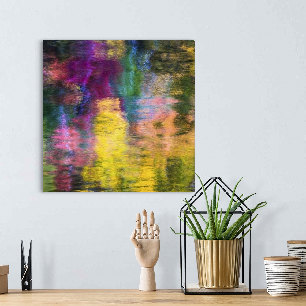 A bohemian room featuring Reflections of a colorful forest in rippling water, creating an abstract image.