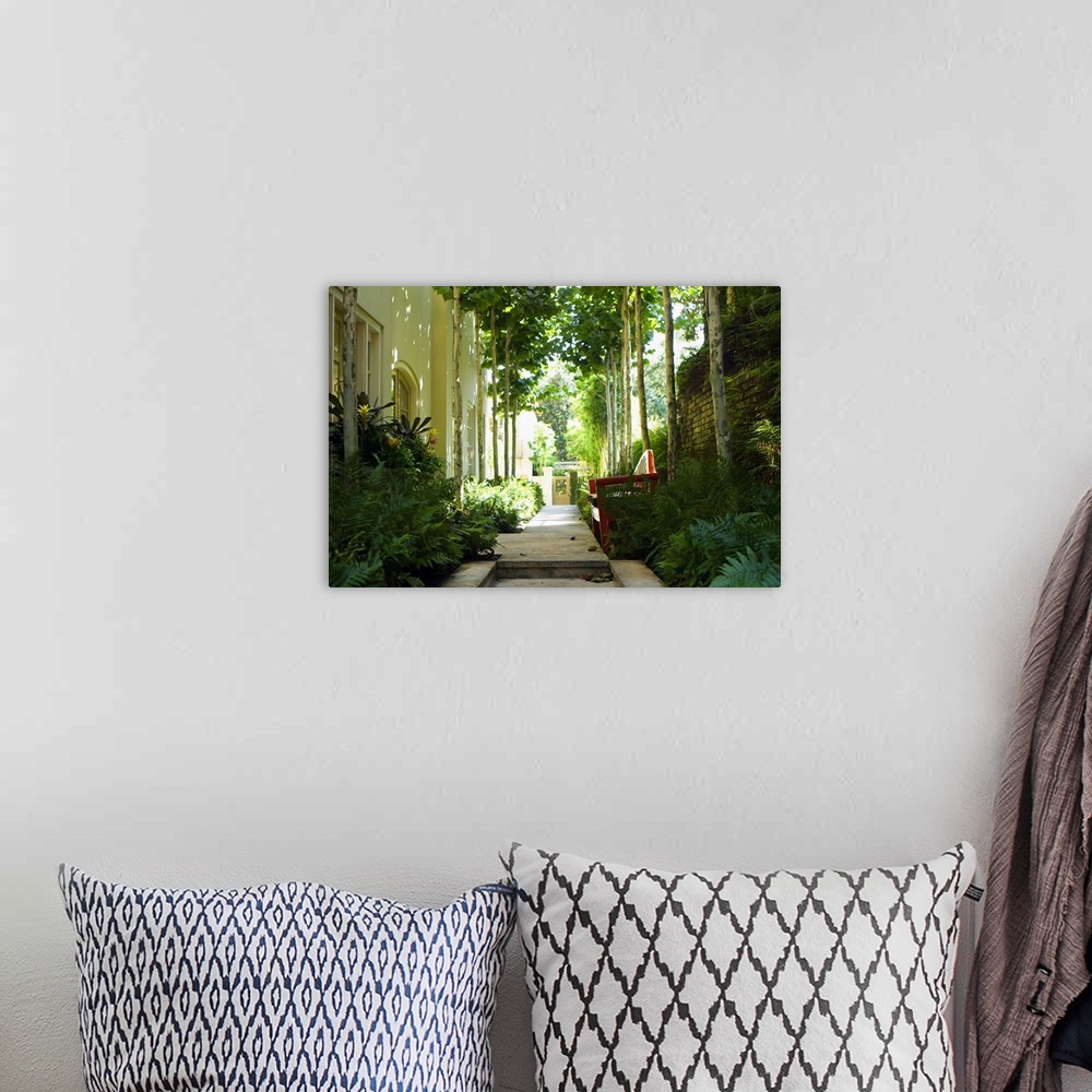 A bohemian room featuring A photograph of a shaded garden pathway besides a house, landscaped with tropical plants, and adj...