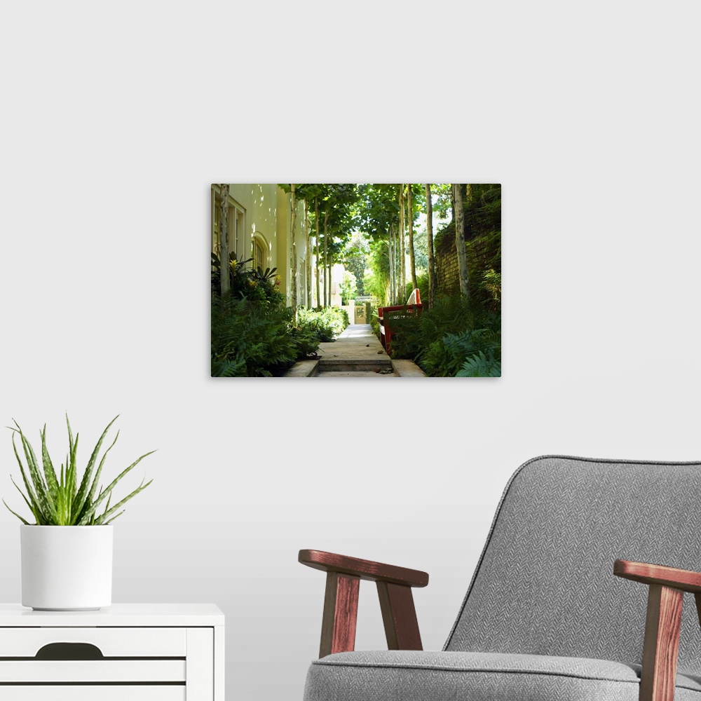 A modern room featuring A photograph of a shaded garden pathway besides a house, landscaped with tropical plants, and adj...