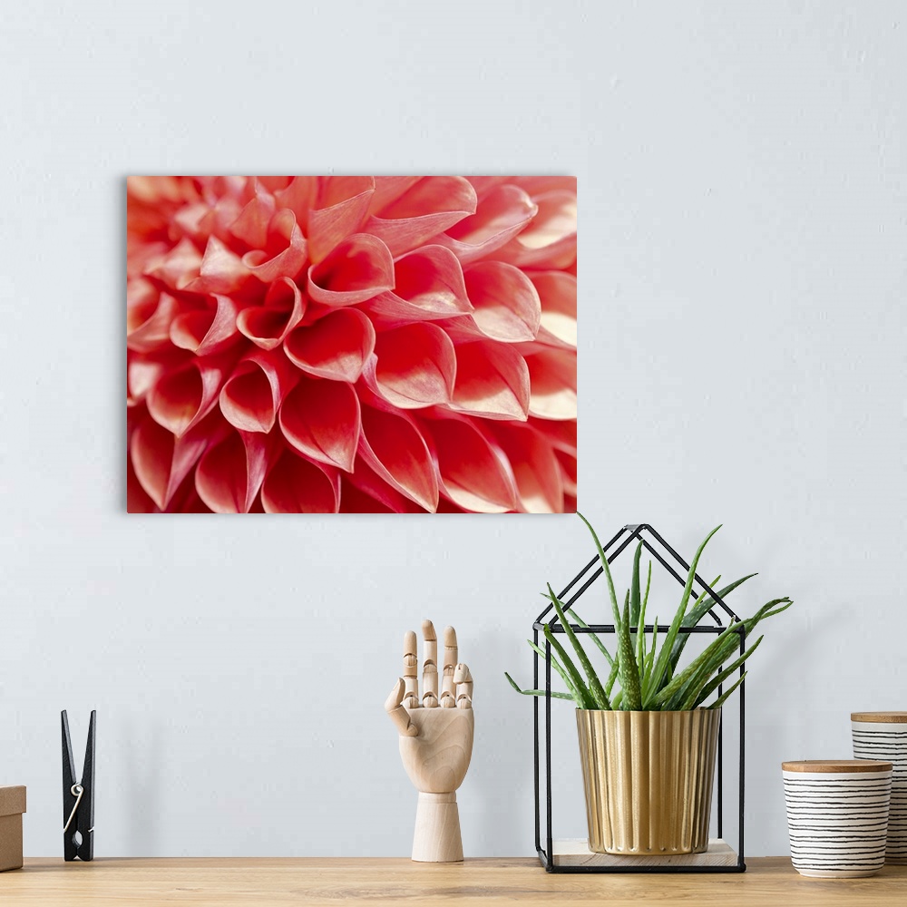 A bohemian room featuring An up close view of brightly colored flowers printed on canvas.