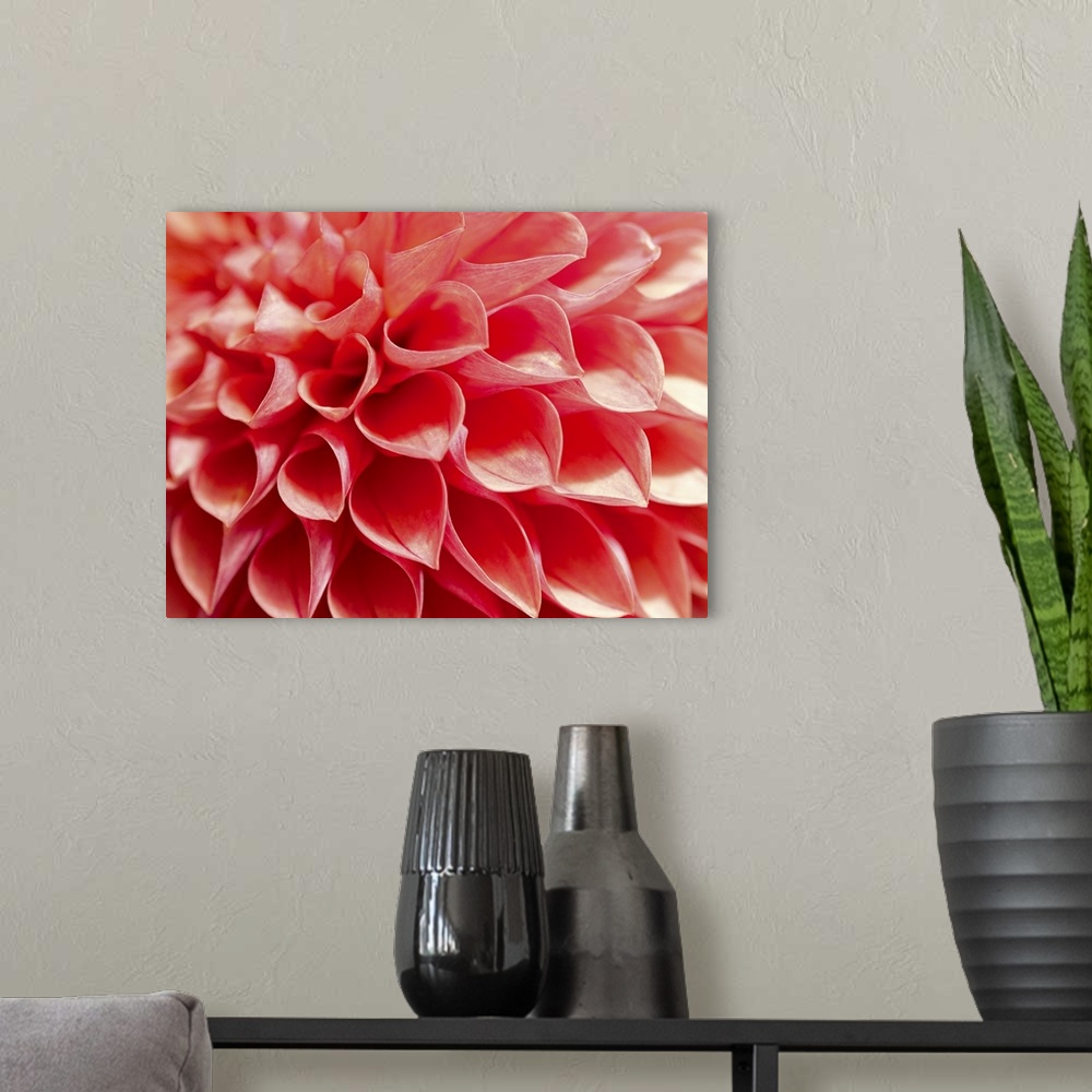 A modern room featuring An up close view of brightly colored flowers printed on canvas.