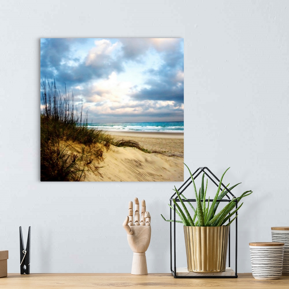 A bohemian room featuring Soft focus fine art photo of sand dune covered in reeds on the beach as blue water crashes on the...