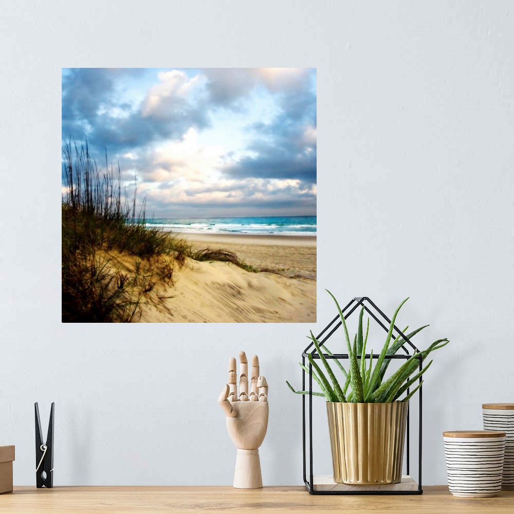 A bohemian room featuring Soft focus fine art photo of sand dune covered in reeds on the beach as blue water crashes on the...