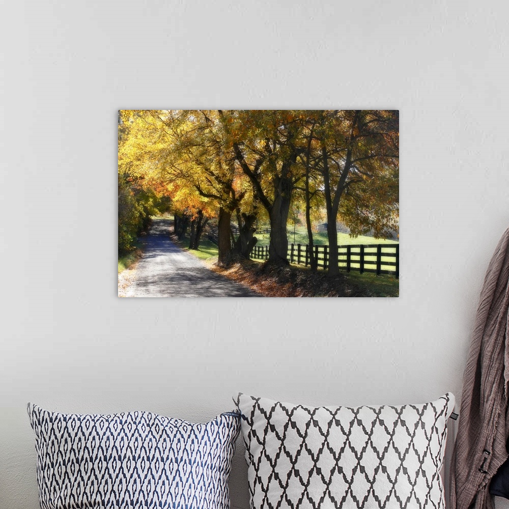 A bohemian room featuring A gravel road in the countryside lined by colorful trees during the fall.