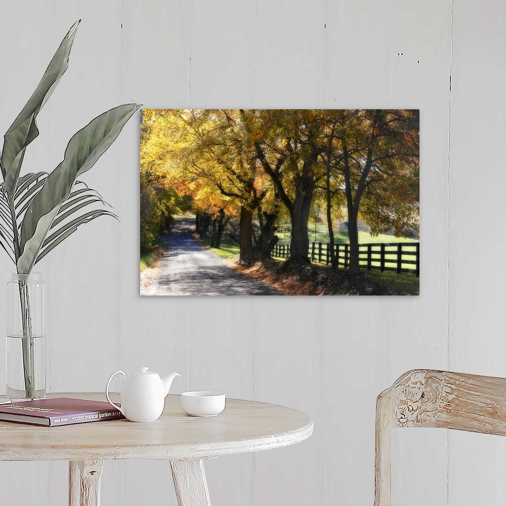 A farmhouse room featuring A gravel road in the countryside lined by colorful trees during the fall.