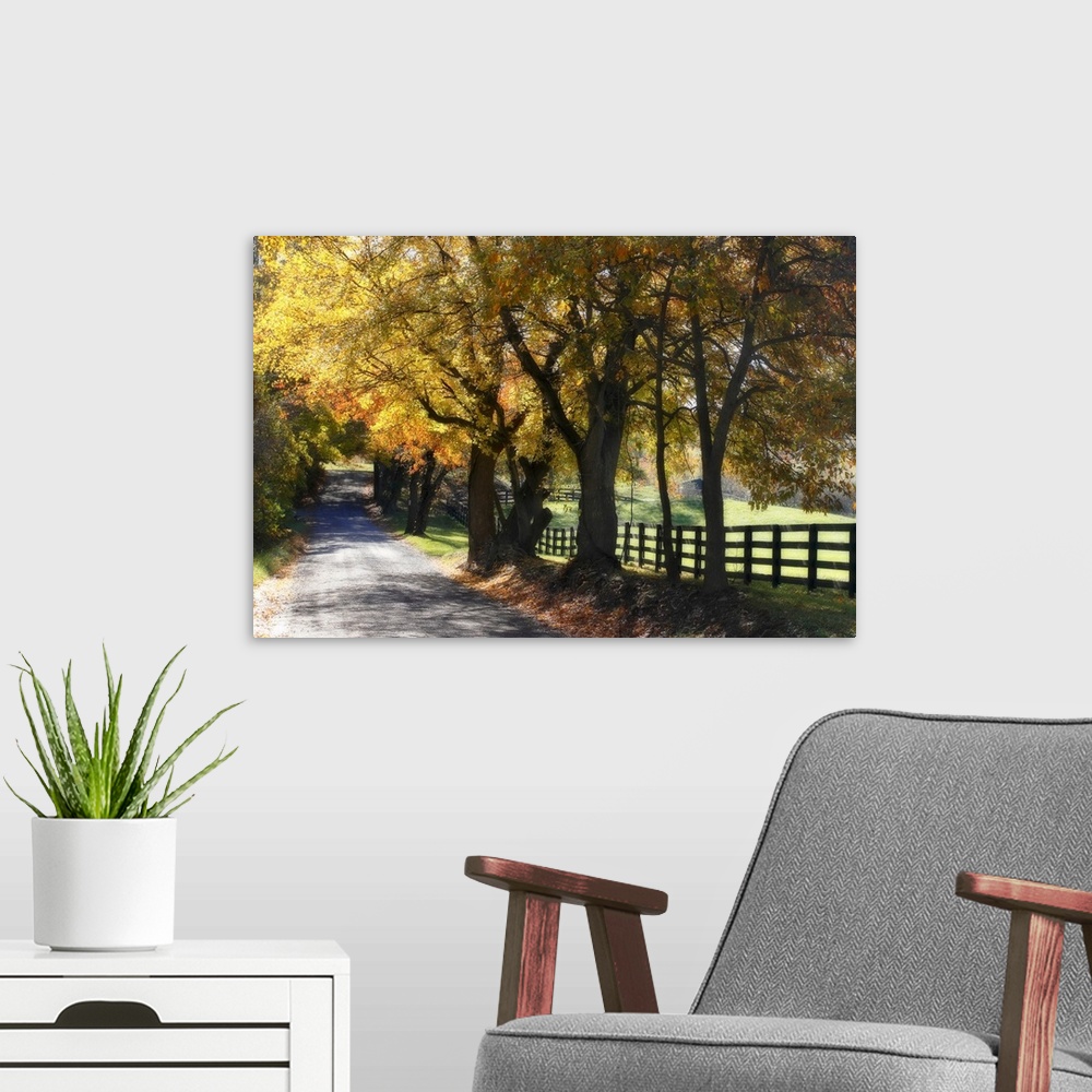A modern room featuring A gravel road in the countryside lined by colorful trees during the fall.