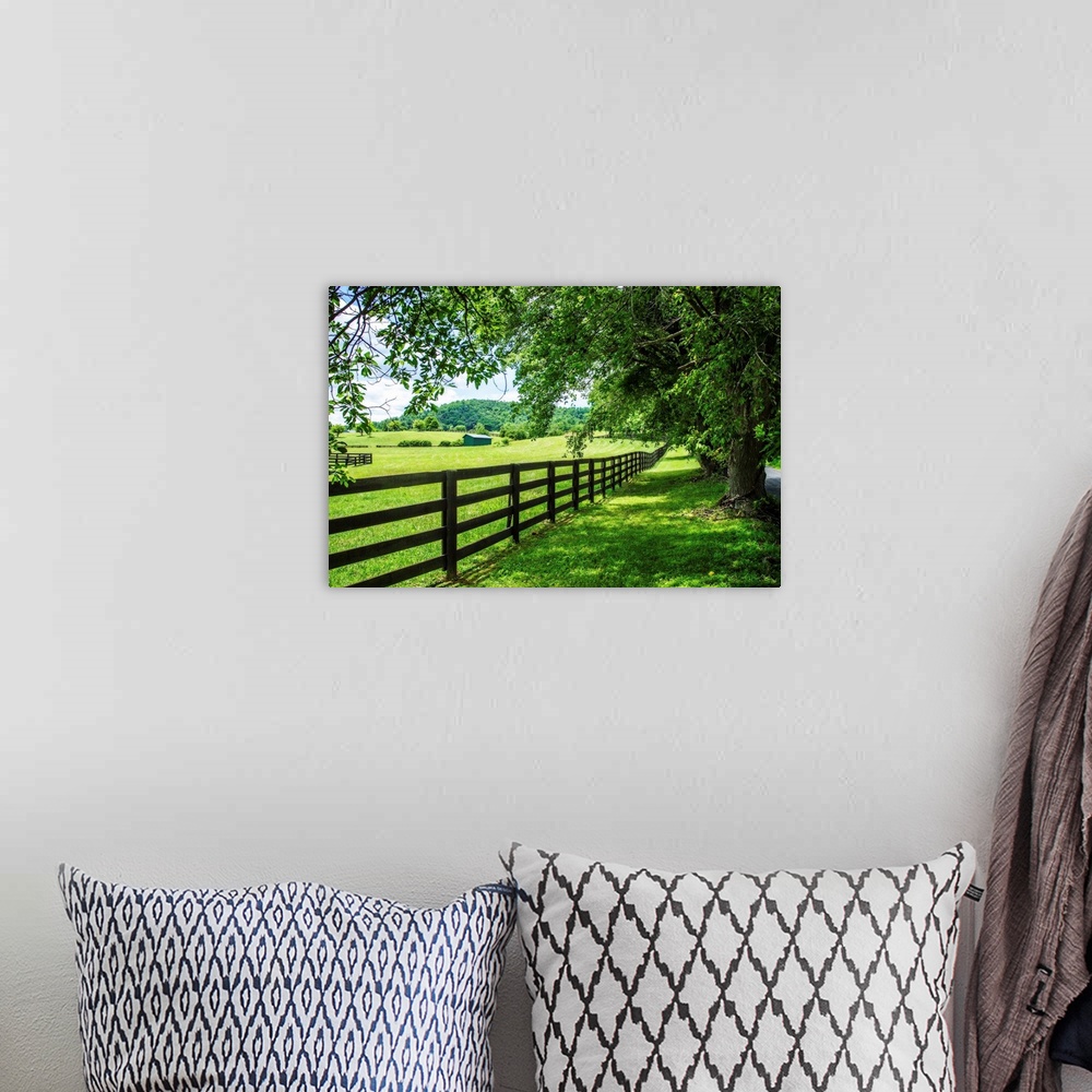 A bohemian room featuring Lush countryside photograph of a wooden fence lining a farm in Cumberland Country, NC.