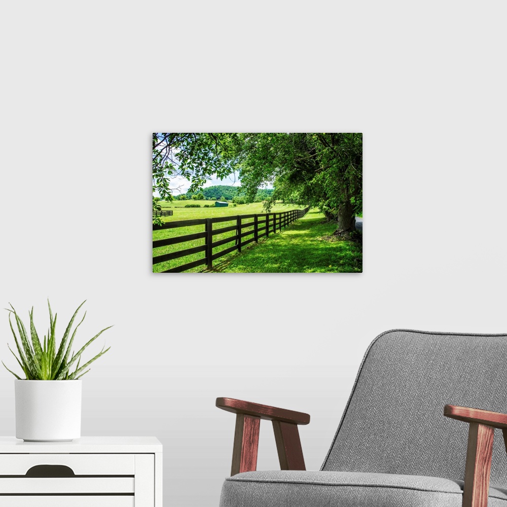 A modern room featuring Lush countryside photograph of a wooden fence lining a farm in Cumberland Country, NC.