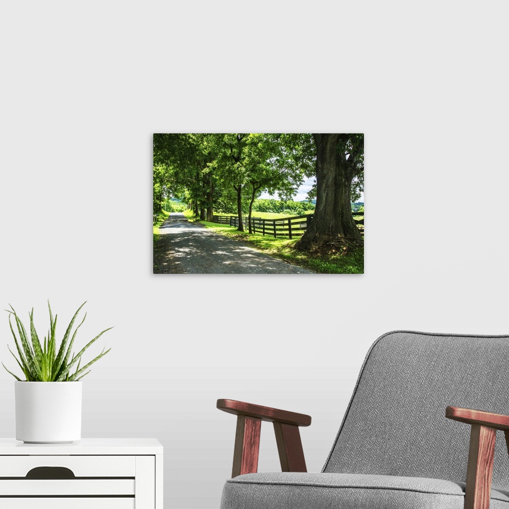 A modern room featuring Landscape photograph of Cumberland County with a rocky road lined with trees going through the co...
