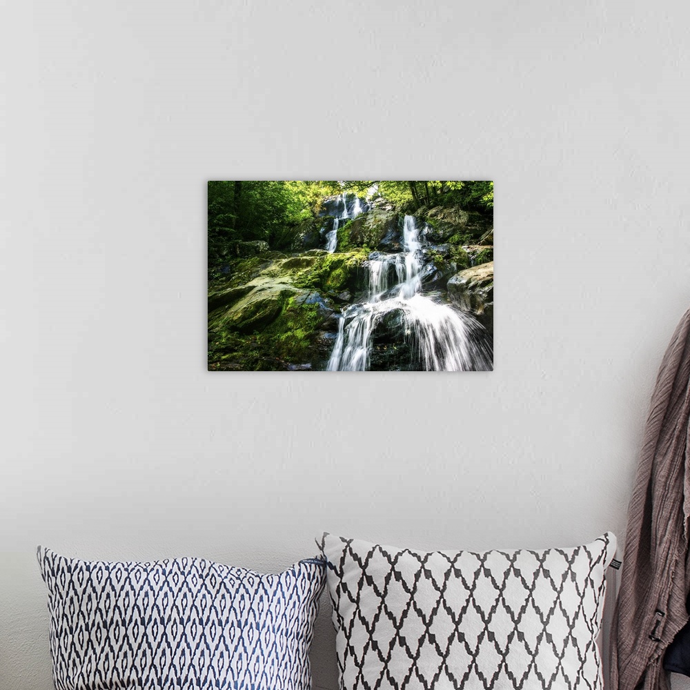 A bohemian room featuring Photograph of the Dark Hollow Falls in Virginia, covered in bright green moss.