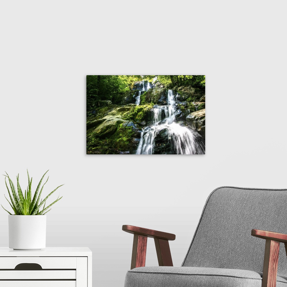 A modern room featuring Photograph of the Dark Hollow Falls in Virginia, covered in bright green moss.