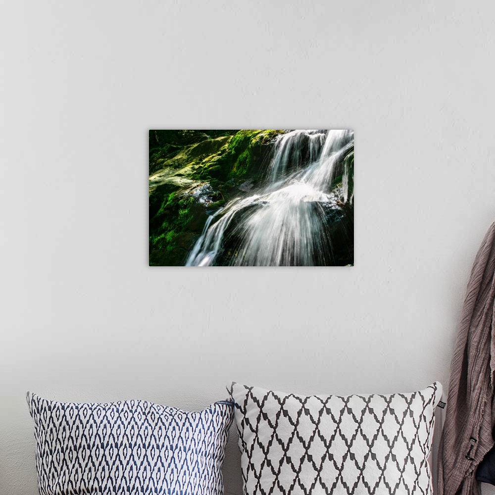 A bohemian room featuring Close- up photograph of the Dark Hollow Falls in Virginia, covered in bright green moss.