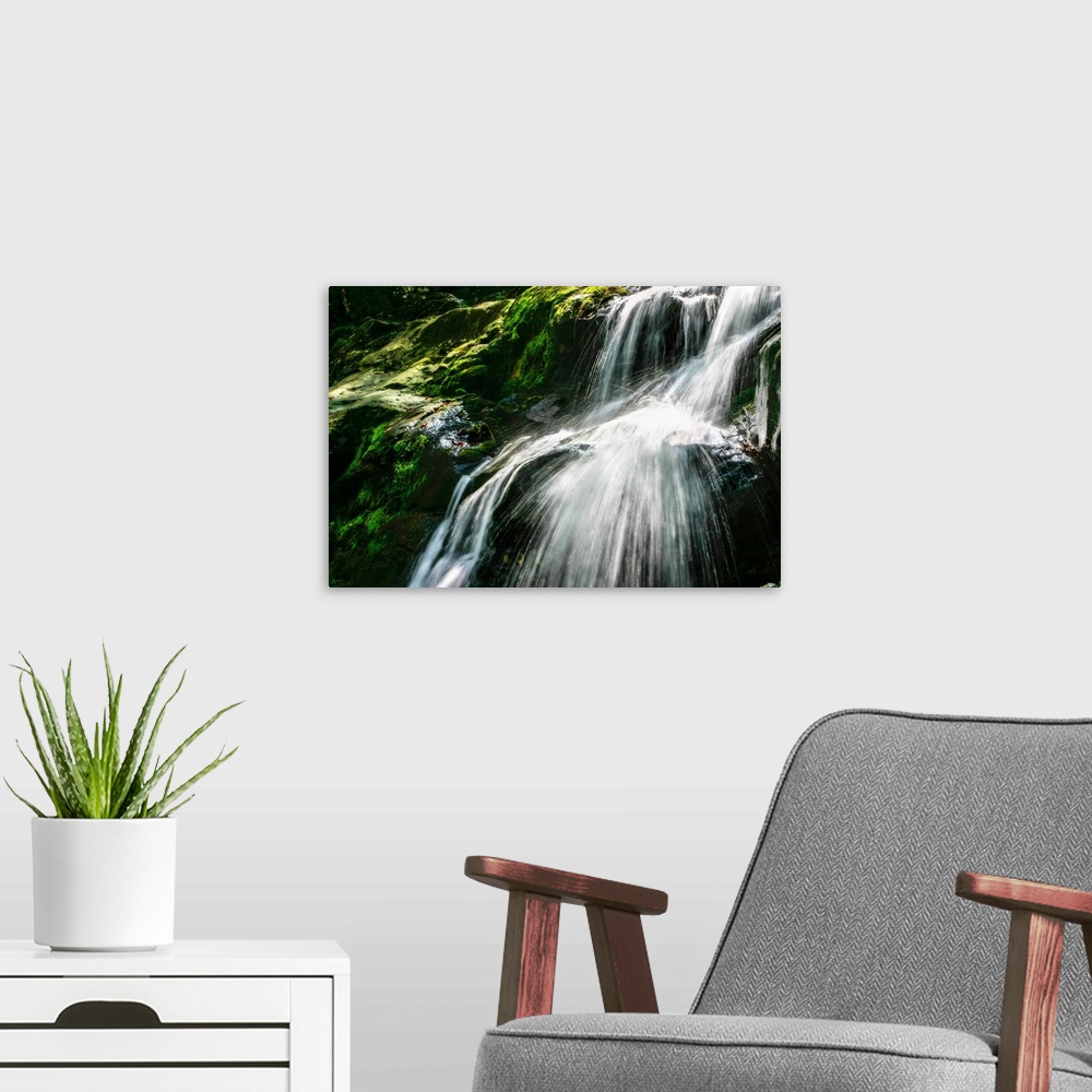 A modern room featuring Close- up photograph of the Dark Hollow Falls in Virginia, covered in bright green moss.