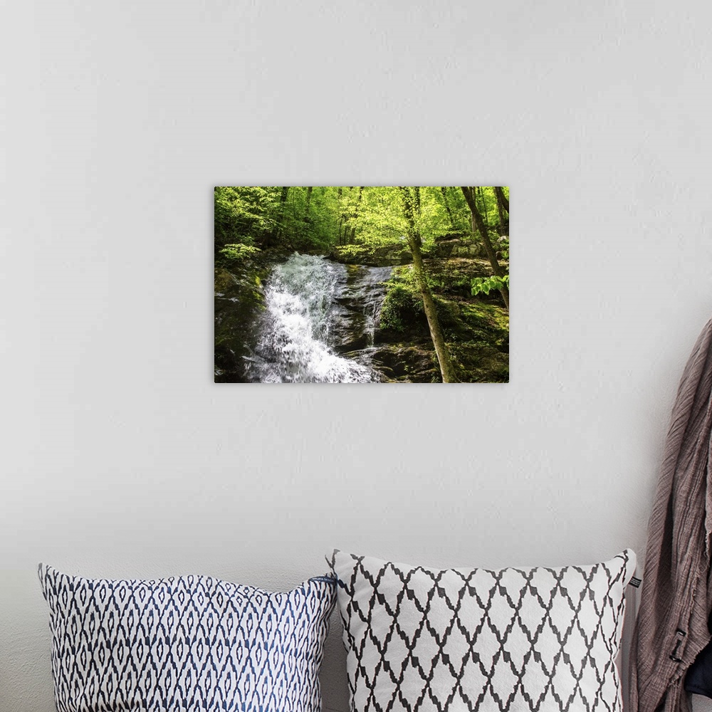 A bohemian room featuring Photograph of a rushing waterfall surrounded by green trees.