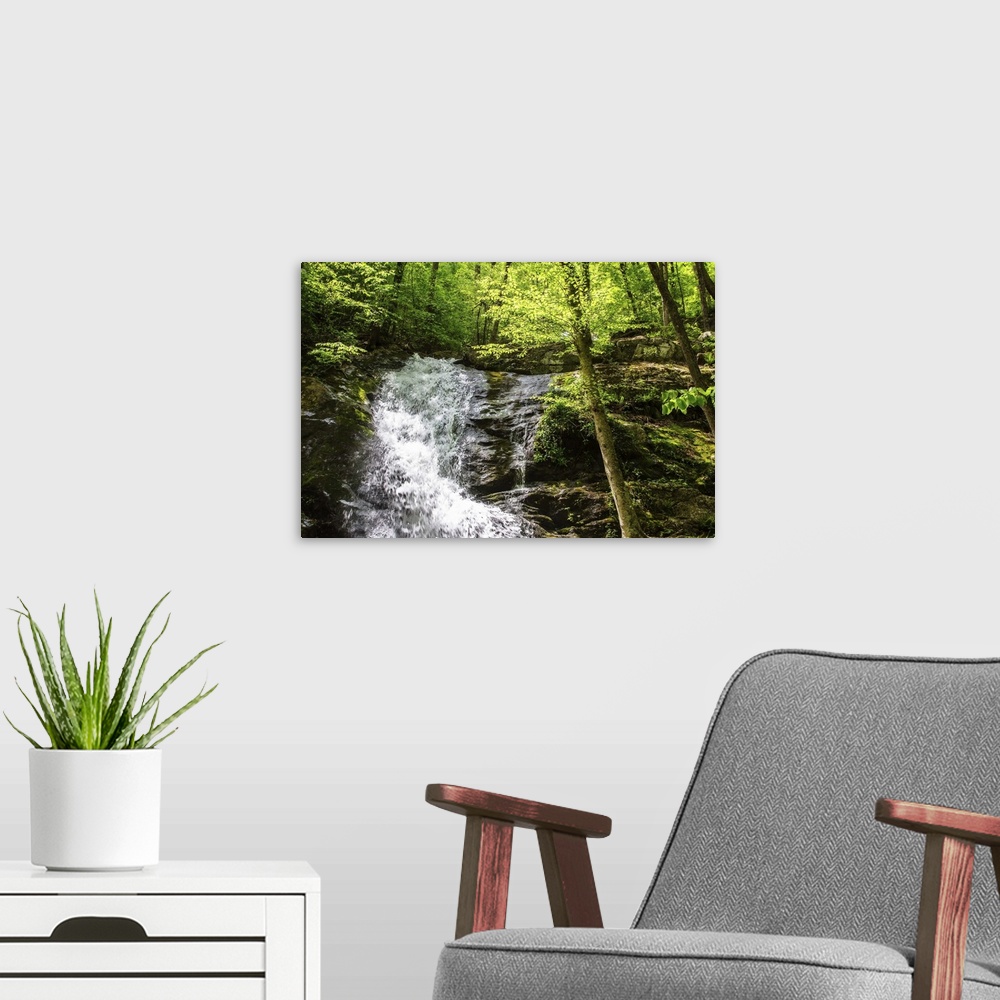 A modern room featuring Photograph of a rushing waterfall surrounded by green trees.