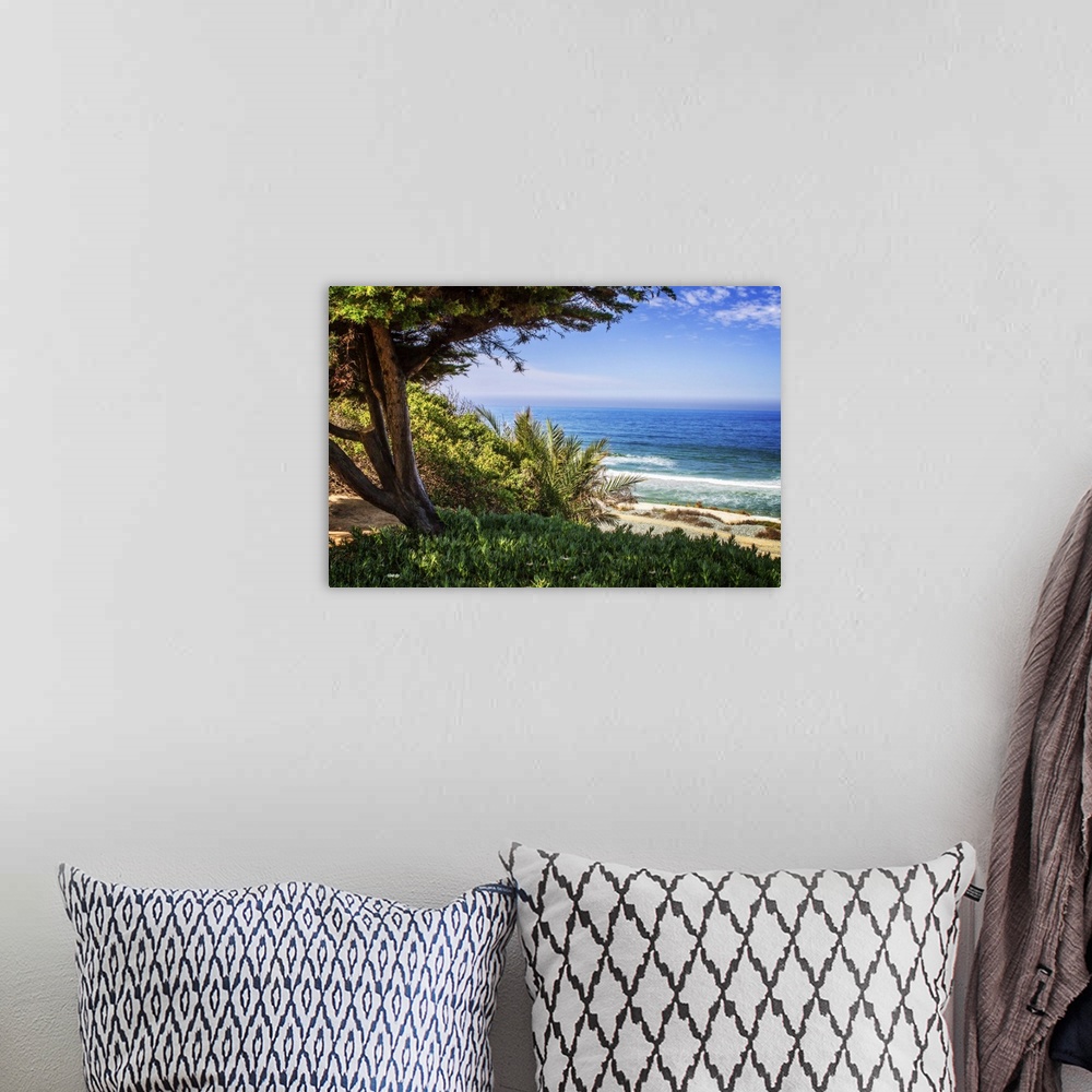 A bohemian room featuring Landscape photograph of the ocean framed with a tree on the left at Del Mar Beach, California.