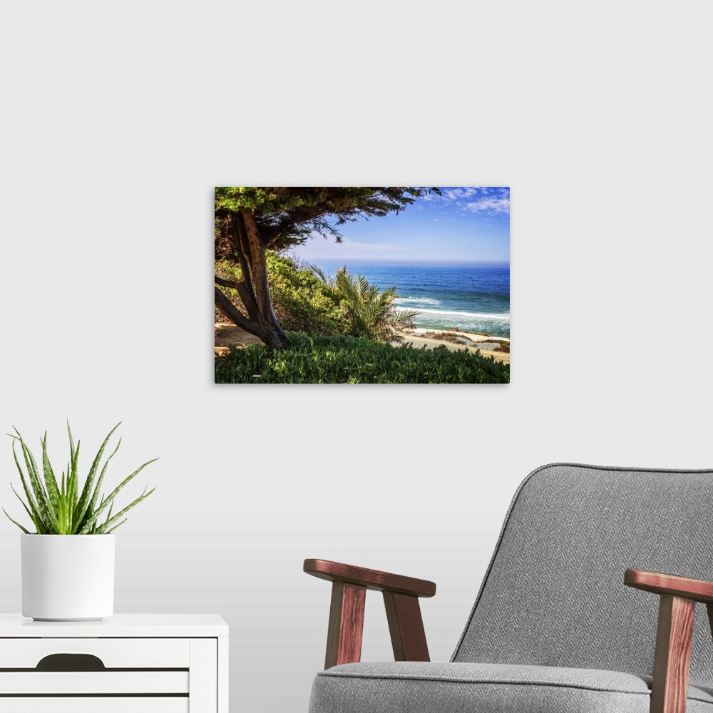 A modern room featuring Landscape photograph of the ocean framed with a tree on the left at Del Mar Beach, California.